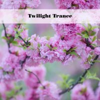 Filippo Canton - Twilight Trance