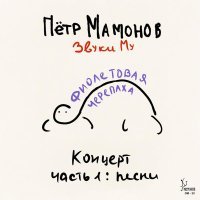 Петр Мамонов, Звуки Му - Водопады