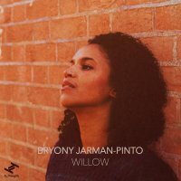 Bryony Jarman-Pinto - Willow