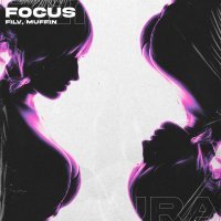 Filv, Muffin - Focus