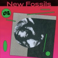 New Fossils - Reflections