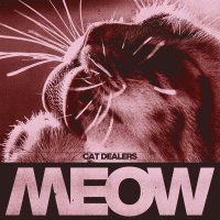 Cat Dealers - MEOW