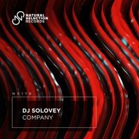 DJ Solovey - Company