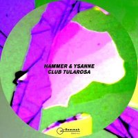 Hammer, Ysanne - Synco
