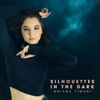 Briana Timari - Silhouettes In The Dark