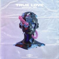 Coswick, D&s - True Love