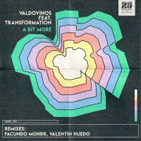 Valdovinos, Transformation - A Bit More (Valentín Huedo Remix - Edit)