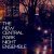 The New Central Park Night Ensemble - I Wanna Believe in Everything